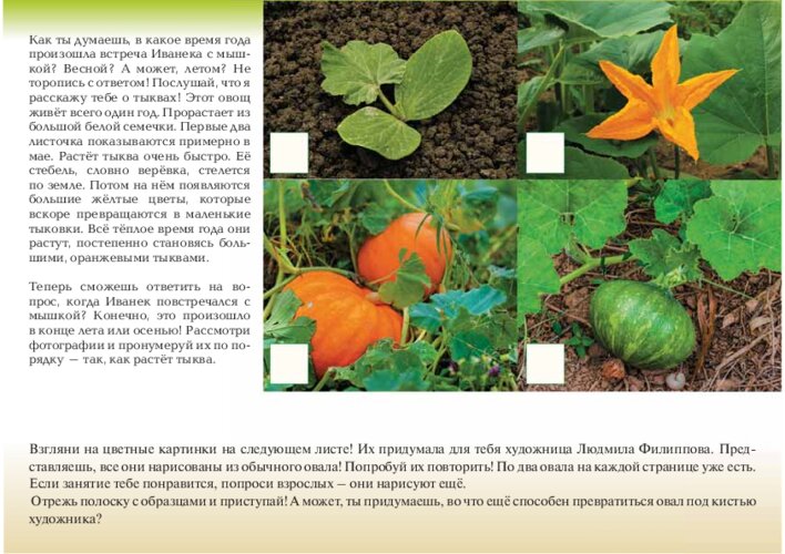 Ф. Тенчик «Полевая мышка» и как растёт тыква, страница 46