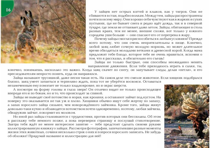 Как живут зайцы и стихотворение «Воришки», страница 33