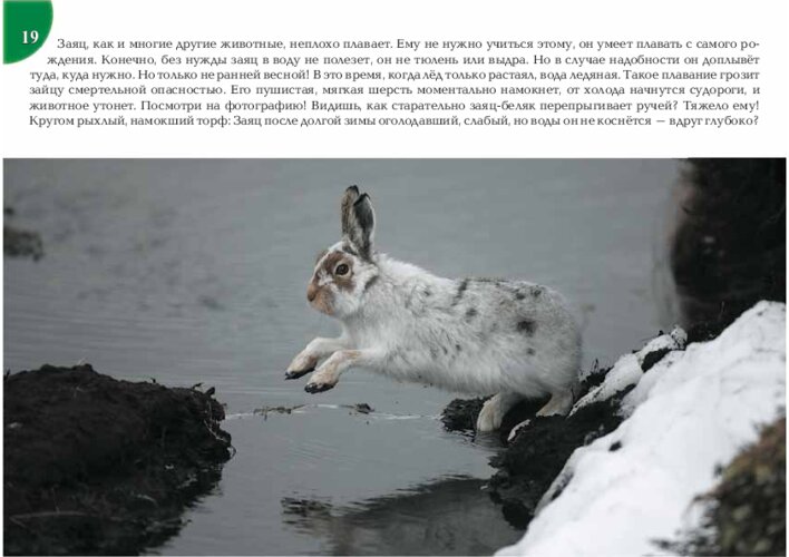 Заяц весной и «Дедушка Мазай и зайцы», страница 39
