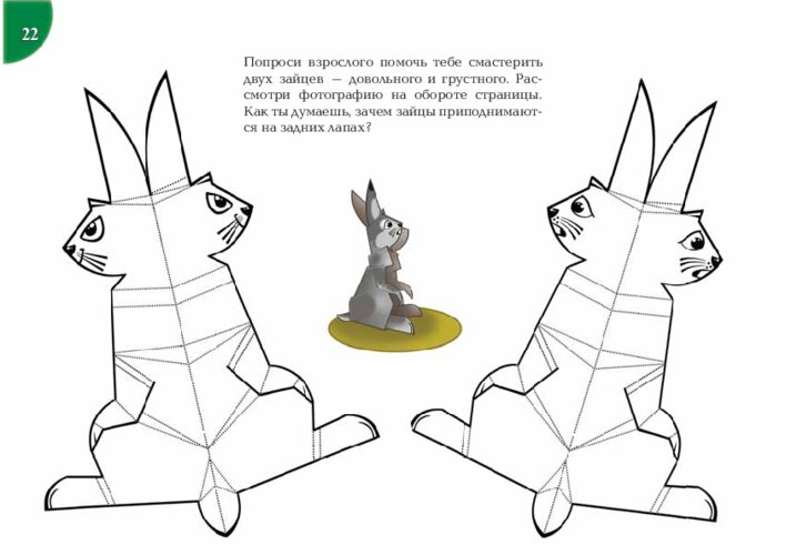Два бумажных зайца и наблюдение за позой животного, страница 45