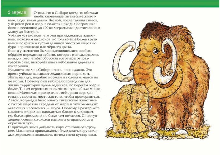 Мамонты: жизнь в ледниковом периоде и исчезновение вида, страница 5