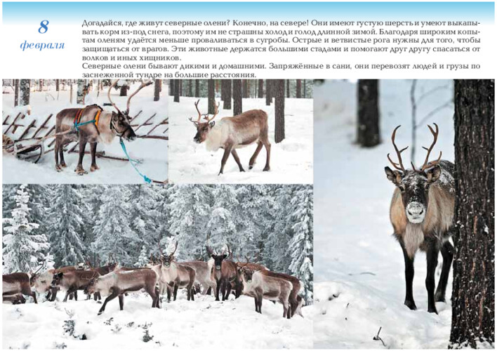 Северные олени, страница 17