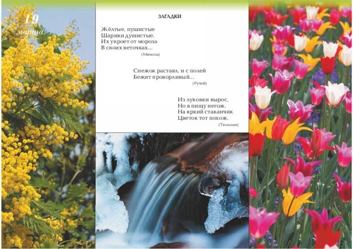 Весенние загадки, страница 39