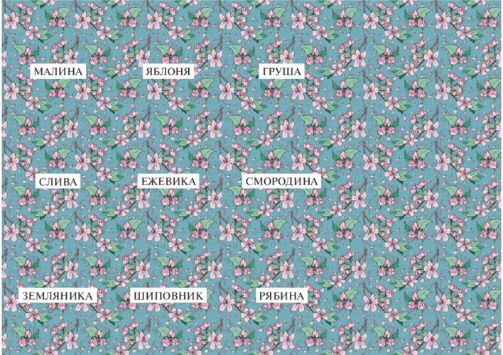 Лото «Плодовые растения», страница 6
