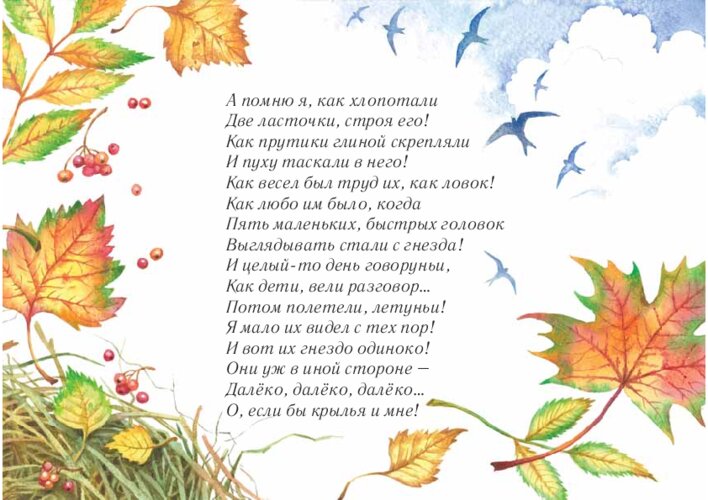 А. Майков «Ласточки», страница 24
