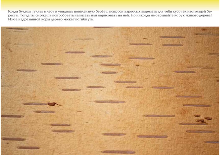 Береста: письмо и рисунок на «берёзовой коре», страница 16