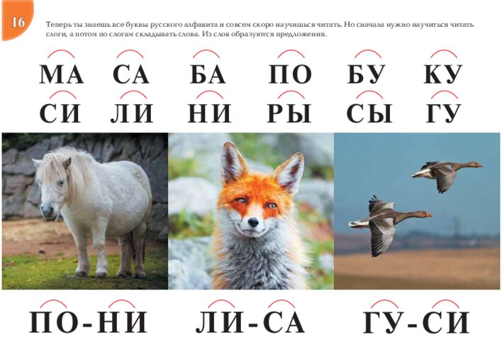 Читаем слоги, слова и предложение, страница 33
