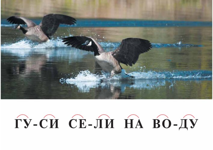 Читаем слоги, слова и предложение, страница 34