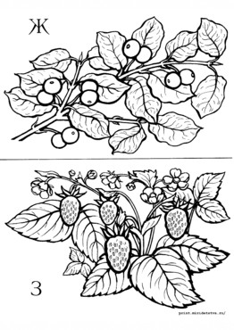 Книжка Азбука цветов и плодов - страница 8