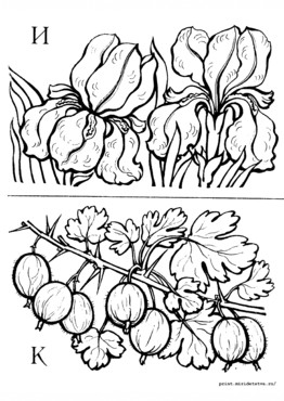 Книжка Азбука цветов и плодов - страница 9