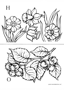 Книжка Азбука цветов и плодов - страница 11