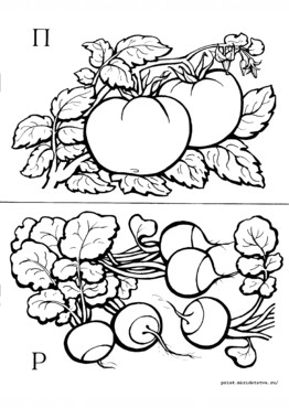 Книжка Азбука цветов и плодов - страница 12