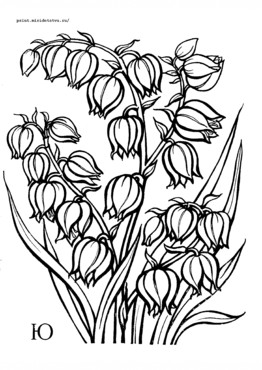 Книжка Азбука цветов и плодов - страница 18