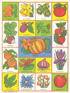 Книжка Азбука цветов и плодов - страница 20
