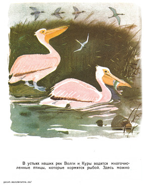 Книжка Рыболовы - страница 10