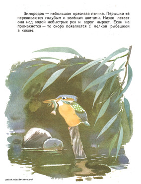 Книжка Рыболовы - страница 14