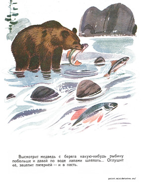 Книжка Рыболовы - страница 17